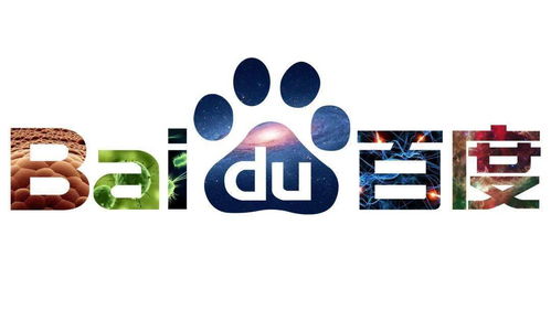 小旋风蜘蛛池与泛域名的奥秘